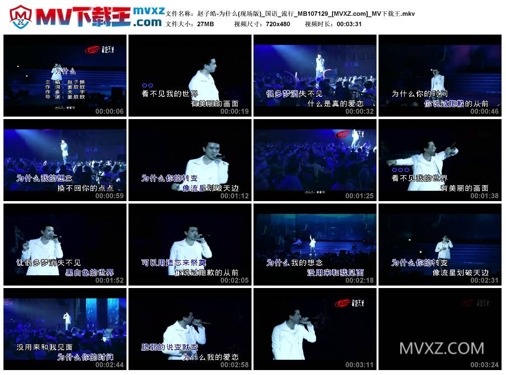 赵子皓-为什么(现场版)_国语_流行_MB107129